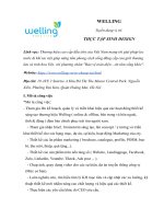 Jd_Tts Design_Welling.docx.pdf