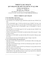 NHIỆM VỤ QUY HOẠCH CẢNG CẠN ICD