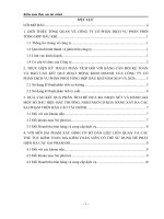 KIỂM TOÁN BCTC CÔNG TY CỔ PHẦN DỊCH VỤ PHÂN PHỐI TỔNG HỢP DẦU KHÍ