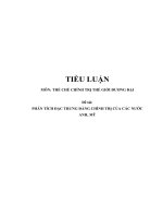 Tiểu luận  thể chế chính trị thế giới đương đại  phân tích đặc trưng đảng chính trị của các nước anh, mỹ