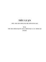 Tiểu luận  thể chế chính trị thế giới đương đại  thể chế chính trị mỹ đảng chính trị và các nhóm lợi ích mỹ