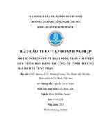 Liễu Phúc Luân Tttn.docx