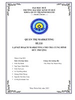 Nhóm 4 - Marketing Plan - Trà Cung Đình.pdf