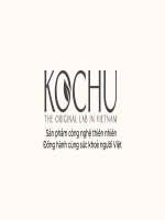 _Vsic 2023  Kochu  Tài Liệu Pitching.pdf