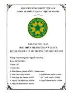 Thị Trường Và Giá Cả-Nhóm-3-Tiểu-Luận.docx
