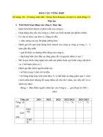 Báo Cáo  Tổng Hợp.doc