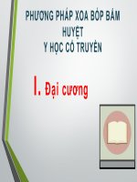 Bài giảng Xoa bóp bấm