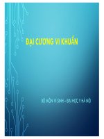 2022 lec2 s2 2 md dai cuong vi khuẩn