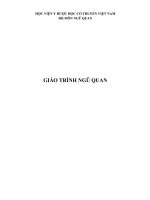 HỌC VIỆN Y DƯỢC HỌC CỔ TRUYỀN VIỆT NAM BỘ MÔN NGŨ QUAN             GIÁO TRÌNH NGŨ QUAN