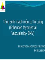 Tăng sinh mạch máu cơ tử cung