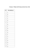 Đáp Án Câu Hỏi Ôn Tập.docx