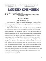Skkn Bao Ve Moi Truong.doc