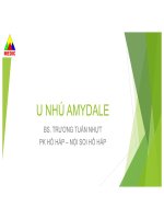 U NHÚ AMYDALE BS. TRƯƠNG TUẤN NHỰT PK HÔ HẤP – NỘI SOI HÔ HẤP