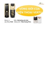 Slide Thuyết Trình Tiểu Luận Vòng Đời Của Điện Thoại Vertu.pdf