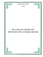 Đề Cương Ôn Tập Học Kì 1 Môn Toán Lớp 11.Pdf