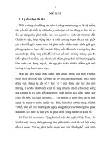 Đề cương khóa luận  quản lý nhà nước về môi trường trên địa bàn tp hà nội