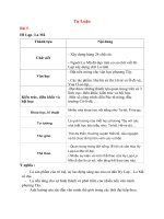 Tự luận.Khgdnndfwfdr