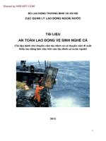 An Toan Lao Dong Ve Sinh Nghe Ca.pdf