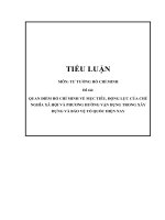 2  tieu luan   quan điểm hồ chí minh về mục tiêu, động lực của chủ nghĩa xã hội và phương hướng vận dụng trong xây dựng và bảo vệ tổ quốc hiện nay