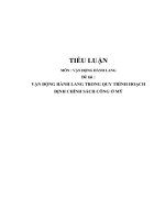Tiểu luận   vận động hành lang với quy trình chính sách công ở mỹ