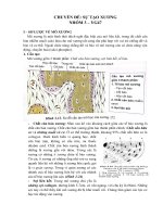 Bài tập nhóm chuyên đề SỰ TẠO XƯƠNG  Mô phôi CTUMP  Y Cần Thơ