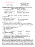 Đề-Cuối Kì-I-11-2023.Docx