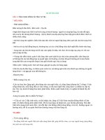 Cơ Sở Văn Hóa.docx
