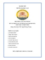 Pháp Luật Về Trung Gian Thanh Toán.docx
