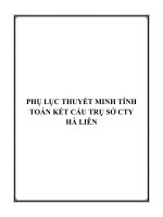 Phu Luc Ket Cau Cty Ha Lien.pdf