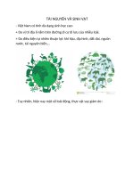 Bản Sao Tài Nguyên Và Sinh Vật (2).Docx