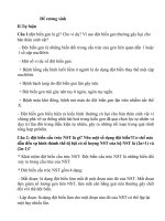 Đề Cương Sinh.docx