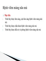 Bài giảng Bệnh Viêm màng não mủ