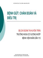 Bài giảng Bệnh Gout: Chẩn đoán và điều trị