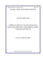 Nghiên cứu kết quả tán sỏi thận qua da đường hầm nhỏ với tư thế nghiêng cải biên có hướng dẫn siêu âm