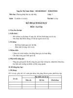 Giáo Án Ppbtnb. Nguyễn Thị Xuân Minh-D20Gdth01-2021402020415.Pdf