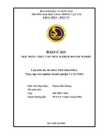 Lop1.Phamtienphong.211602234 (Mau Bao Cao).Docx