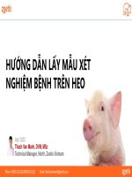 Zoetis - Hướng Dẫn Lấy Mẫu Xét Nghiệm Trên Heo - Copy.pdf