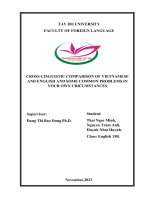 Nguyễn Trâm Anh, Thái Ngọc Minh, Huỳnh Nhật Huỳnh- Ngôn Ngữ Anh 15B.docx