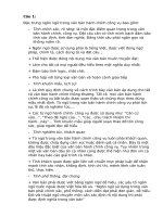 Tiểu Luận Kntlvb.docx