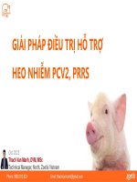 Zoetis - Giải Pháp Điều Trị Hỗ Trợ Heo Nhiễm Pcv2^J Prrs.pdf