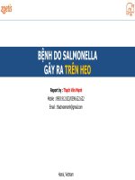 Zoetis - Bệnh Do Salmonella Gây Ra Trên Heo.pdf