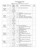 Kế Hoạch Dạy Học L3A Tuần 21.Docx