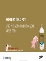 Zoetis - Fostera Gold Pcv.pdf