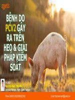 Zoetis - Bệnh Pcv2 Trên Heo.pdf