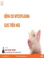 Zoetis - Bệnh Do Mycoplasma Suis Gây Ra Trên Heo - 2023.Pdf