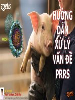 Zoetis - Giải Pháp Kiểm Soát Và Xử Lý Trại Vấn Đề Prrs.pdf