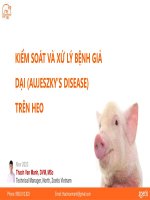 Zoetis - Bệnh Giả Dại Trên Heo.pdf
