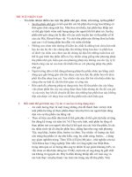 Trí Tuệ Nhân Tạo.pdf
