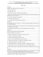 Báo cáo đề xuất cấp Giấy phép môi trường của dự án trường mầm non song ngữ hanami