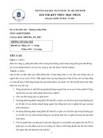 30_Dương Xuân Phát_D01_030537210018.Pdf